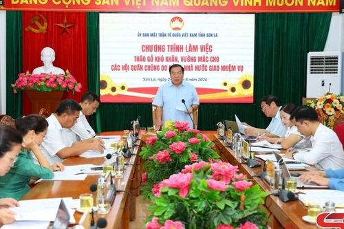 Tháo gỡ khó khăn, vướng mắc của các Hội quần chúng do Đảng, Nhà nước giao nhiệm vụ