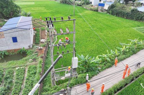 Diễn tập xử lý nhanh sự cố lưới điện