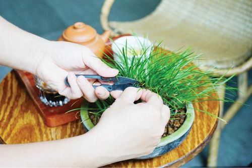 'Buông xả' để phòng bệnh