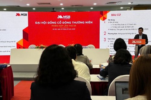 ĐHĐCĐ MSB: Lên kế hoạch lãi 8.000 tỷ đồng, tái cấu trúc TNEX Finance