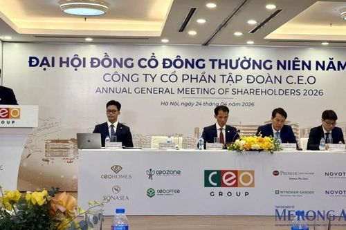 CEO tổ chức thành công đại hội lần 2, bổ sung phương án chào bán cổ phiếu