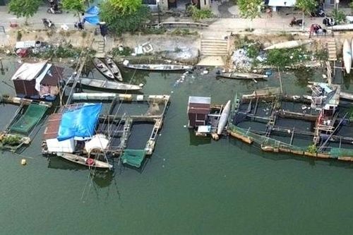 Chấn chỉnh tình trạng chiếm dụng mặt sông Như Ý nuôi cá lồng gây ô nhiễm môi trường