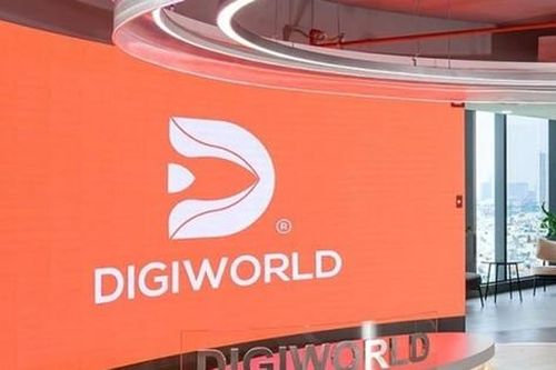 Cổ đông của Digiworld (DGW) sắp nhận được hơn 220 tỷ đồng tiền trả cổ tức