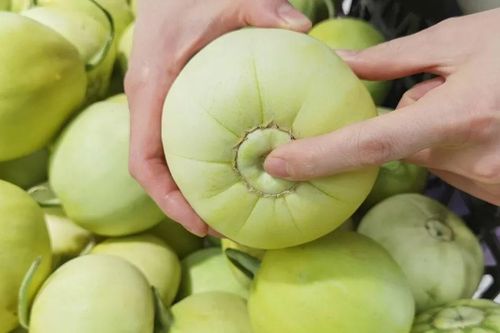 Chọn dưa lê mà thấy điểm này biết ngay quả nào ngon, ngọt sắc, chị em phải quyết mua nhanh kẻo hết