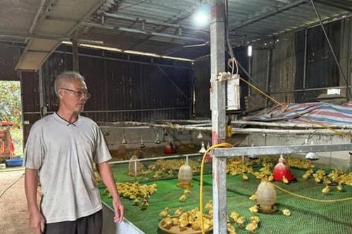 Người cán bộ Mặt trận gương mẫu, làm kinh tế giỏi ở xã Phúc Thọ