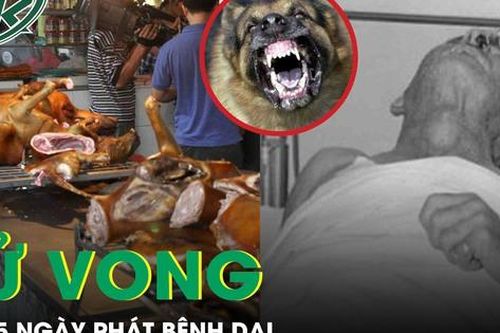 Chủ quán thịt chó tử vong sau 5 ngày phát bệnh dại
