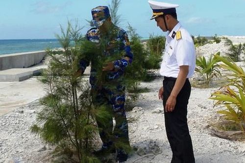 Nâng chất lượng trồng cây, từng bước phủ xanh Trường Sa