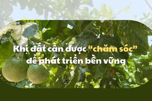Khi đất cần được 'chăm sóc' để phát triển bền vững