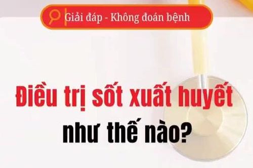[Video] Điều trị sốt xuất huyết như thế nào?