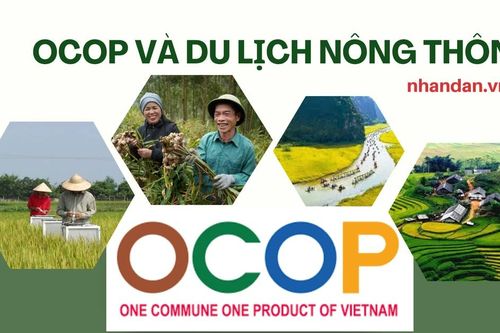 Phát triển OCOP và du lịch nông thôn đồng bộ, bền vững