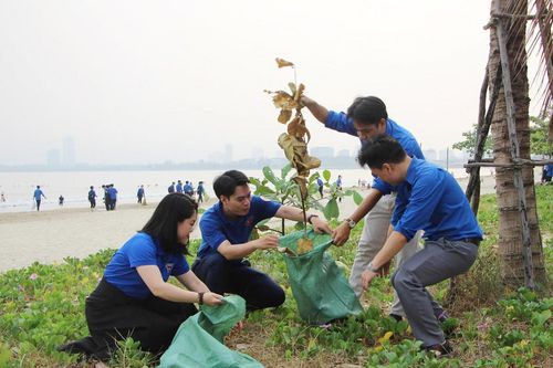 Hơn 600 tình nguyện viên chung tay làm sạch bãi biển Đà Nẵng