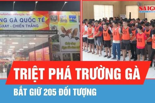 Triệt phá 'Trường gà quốc tế Viêng Xay', bắt giữ 205 đối tượng