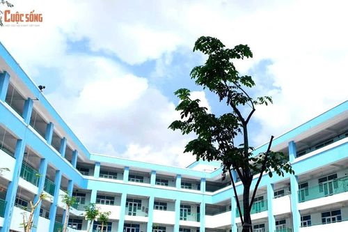 Trường tiểu học trên khu đất 'đặc biệt nhất TP HCM' đã thành hình