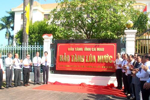Cà Mau thành lập Bảo tàng Lúa nước, tôn vinh văn minh nông nghiệp