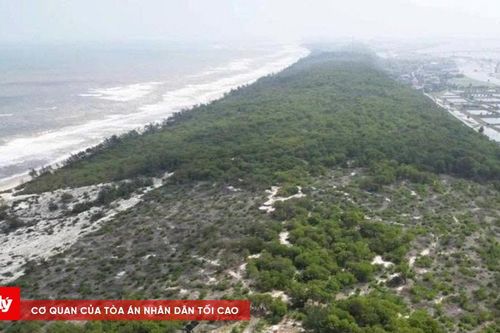 Kỷ luật Phó Chủ tịch phường liên quan vụ bán rừng phòng hộ