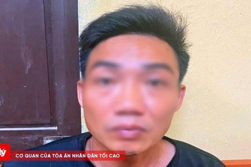 Bắt giữ đối tượng sát hại người phụ nữ bán thịt lợn ở Ninh Bình