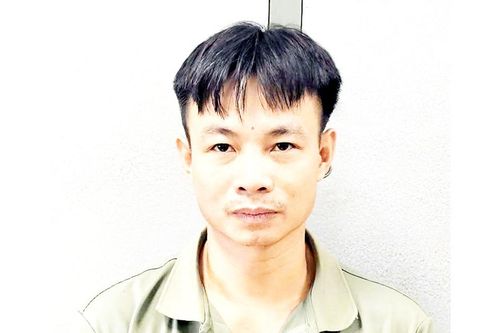 Khởi tố kẻ say rượu phóng hỏa xưởng gỗ, thiệt hại gần 2 tỷ đồng