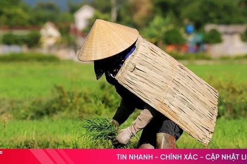 Gió Lào: Từ trong khắc nghiệt mà thành nếp riêng