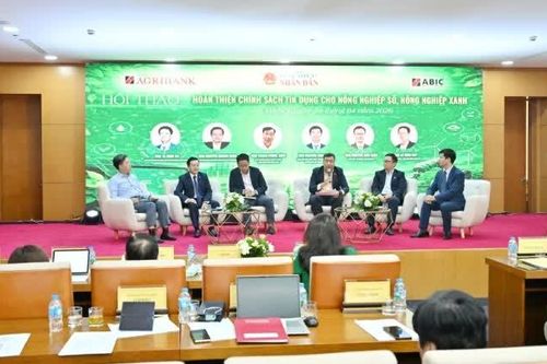 Nút thắt bảo hiểm kìm dòng vốn chảy vào doanh nghiệp