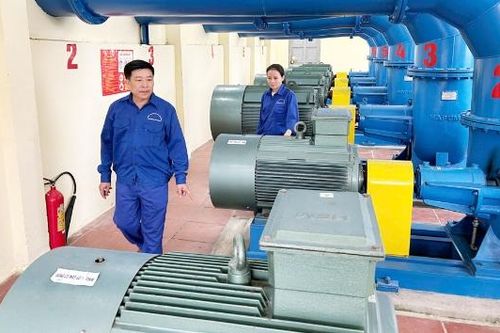 Lặng thầm khơi những dòng xanh