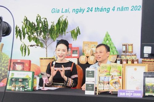 Gia Lai: Phó Giám đốc Sở Công Thương lên sóng livestream bán hàng nông sản
