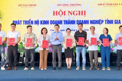 Gia Lai thúc đẩy chuyển đổi hộ kinh doanh thành doanh nghiệp