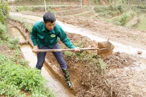 Púng Luông chủ động chuẩn bị điều kiện cho sản xuất vụ mùa 2026