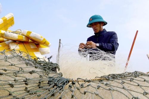 Phía sau những con sóng-Kỳ 1: Tiếng vọng từ… biển
