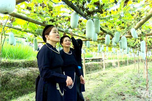 Nông dân thích ứng với biến đổi khí hậu