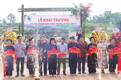 Khai trương khu trải nghiệm nông nghiệp - văn hóa - ẩm thực Bản Cọ