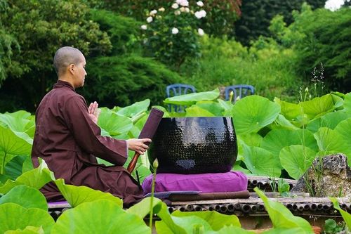 Vượt qua - tri ân nghịch cảnh