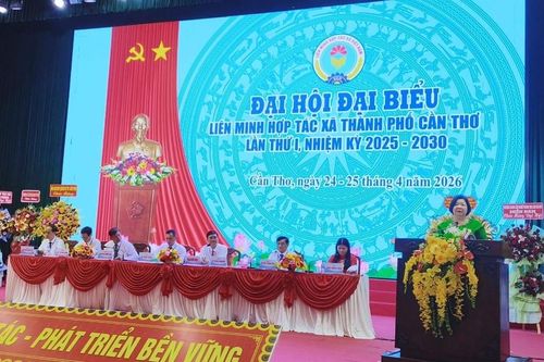 Đại hội Liên minh HTX TP Cần Thơ lần thứ I: KTTT, HTX góp phần thúc đẩy kinh tế địa phương