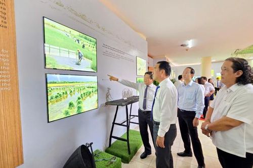 Thành lập Bảo tàng lúa nước tỉnh Cà Mau