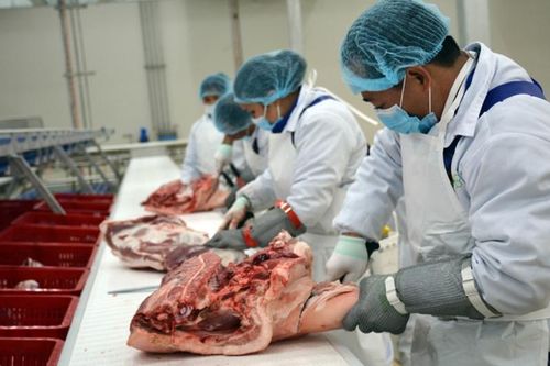 Hà Nội siết chặt kiểm soát giết mổ, đảm bảo ATTP