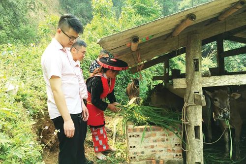 'Đòn bẩy' giúp đồng bào dân tộc thiểu số thoát nghèo