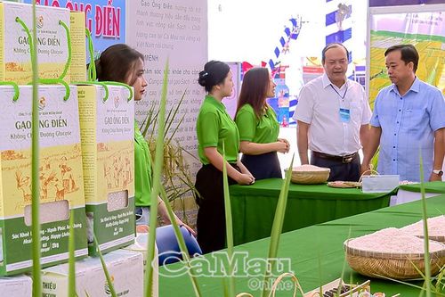 Lãnh đạo tỉnh tham quan chuỗi hoạt động tại Quảng trường Hùng Vương