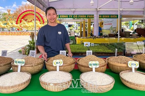 Thông điệp sản xuất xanh từ Cuộc thi 'Gạo ngon đồng bằng sông Cửu Long'