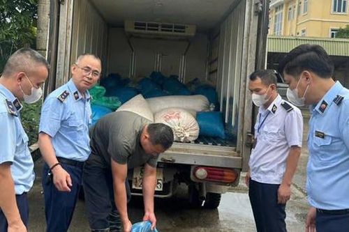 Phát hiện, xử lý hơn 1 tấn lòng lợn ôi thiu trên đường vận chuyển tiêu thụ