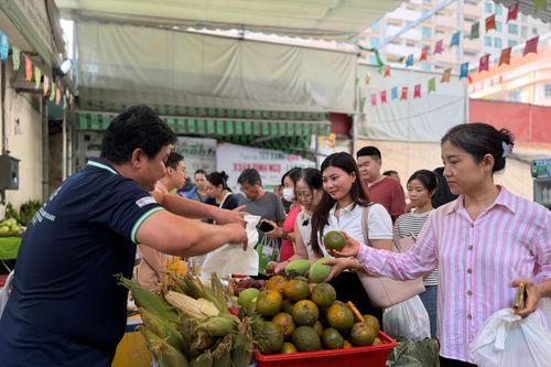 Nghỉ lễ, người dân TP.HCM đổ về Phiên chợ Xanh - Tử tế, săn nông sản sạch