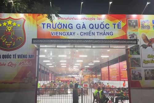 Trường gà 1.200 tỷ: Hé lộ đường dây vận hành tinh vi, kéo con bạc Việt sang Lào
