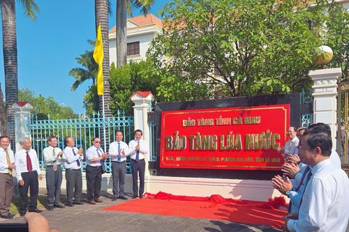 Cà Mau lập Bảo tàng lúa nước, mở 'cung đường di sản' độc đáo