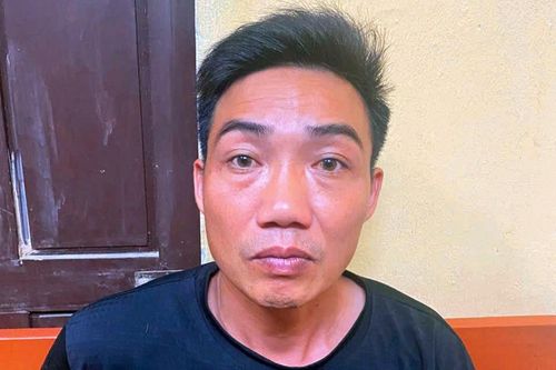 Lời khai của nghi phạm sát hại nữ tiểu thương ở Ninh Bình
