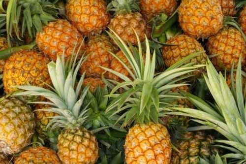 Công dụng thần kỳ của vỏ dứa khử mùi, làm sạch bạn nên biết