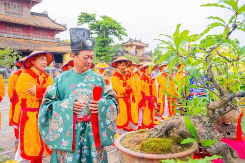 Chiêm ngưỡng những tác phẩm phong lan, cây kiểng tuyệt đẹp được dâng tiến vào Hoàng cung Huế