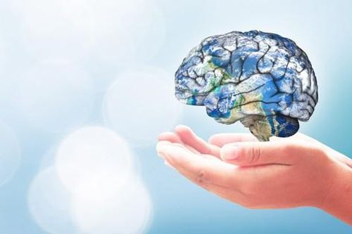 Điều gì xảy ra với não bộ nếu thường xuyên ăn cá 2 lần mỗi tuần?