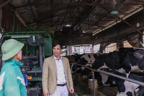 Làm nông nghiệp trên xã đảo duy nhất của Hà Nội