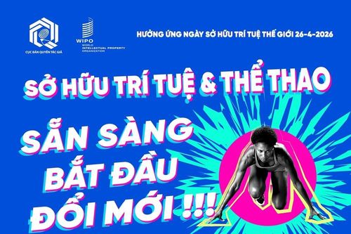 Bảo vệ bản quyền truyền hình thể thao: 'Mỏ vàng' trong phát triển kinh tế số