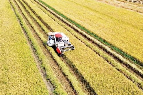 Bài 3: Từ yêu cầu trước mắt đến chiến lược dài hạn
