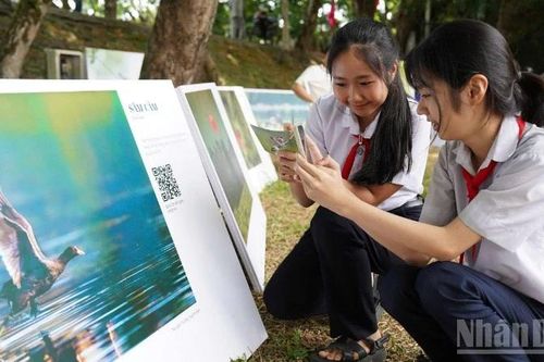 Độc đáo 'Trạm Nghe chim kể chuyện'