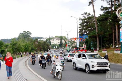 [Ảnh] Lâm Đồng ngàn hoa thông thoáng trong ngày đầu kỳ nghỉ lễ Giỗ Tổ